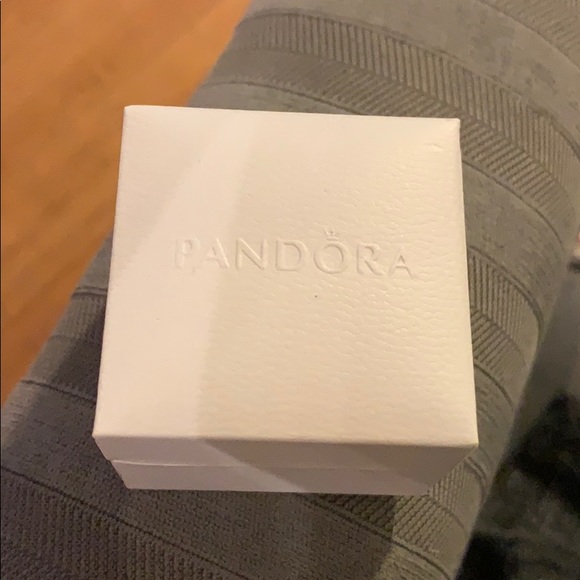 Pandora Infinity “Infinite Shine” Charm - Picture 4 of 4